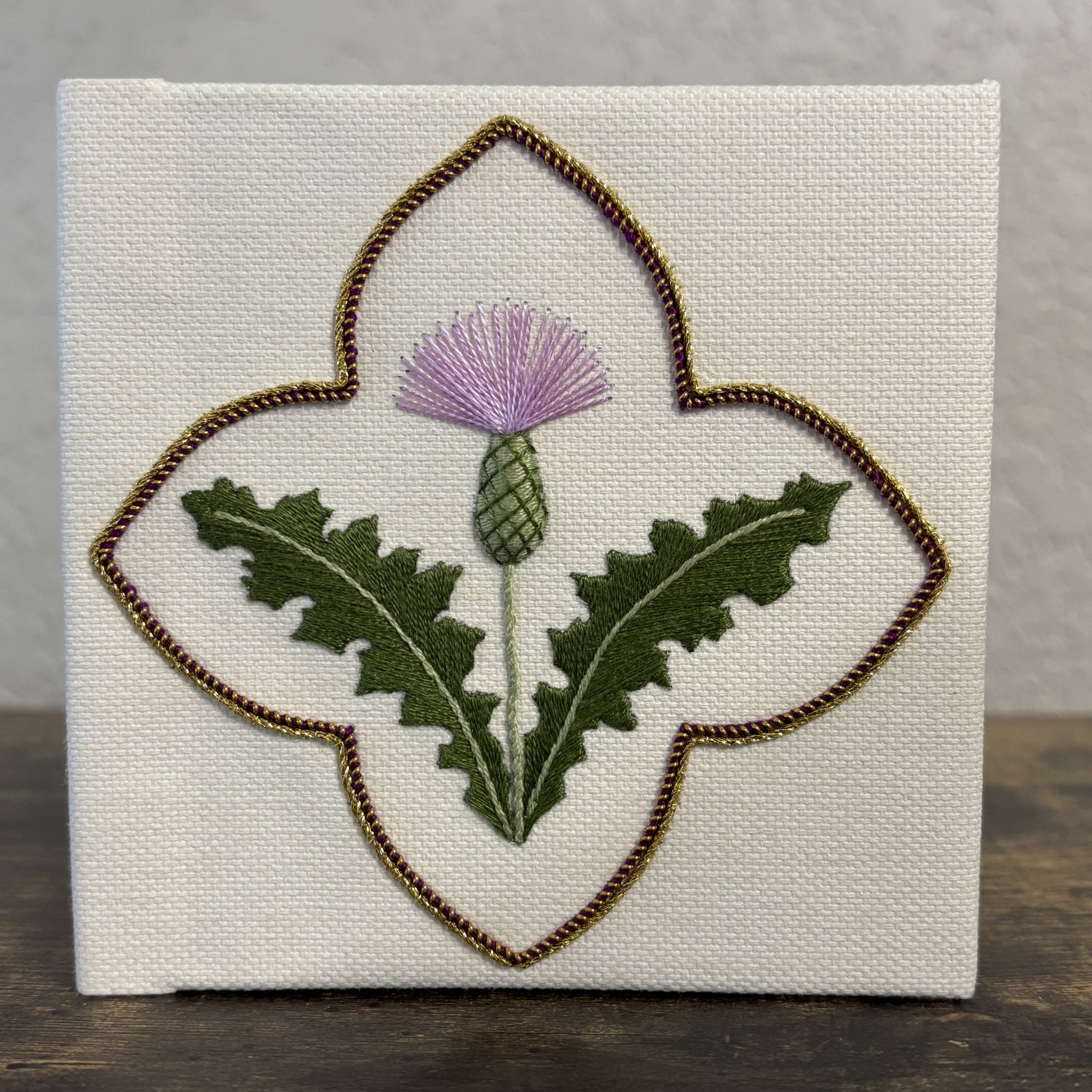 Field Thistle