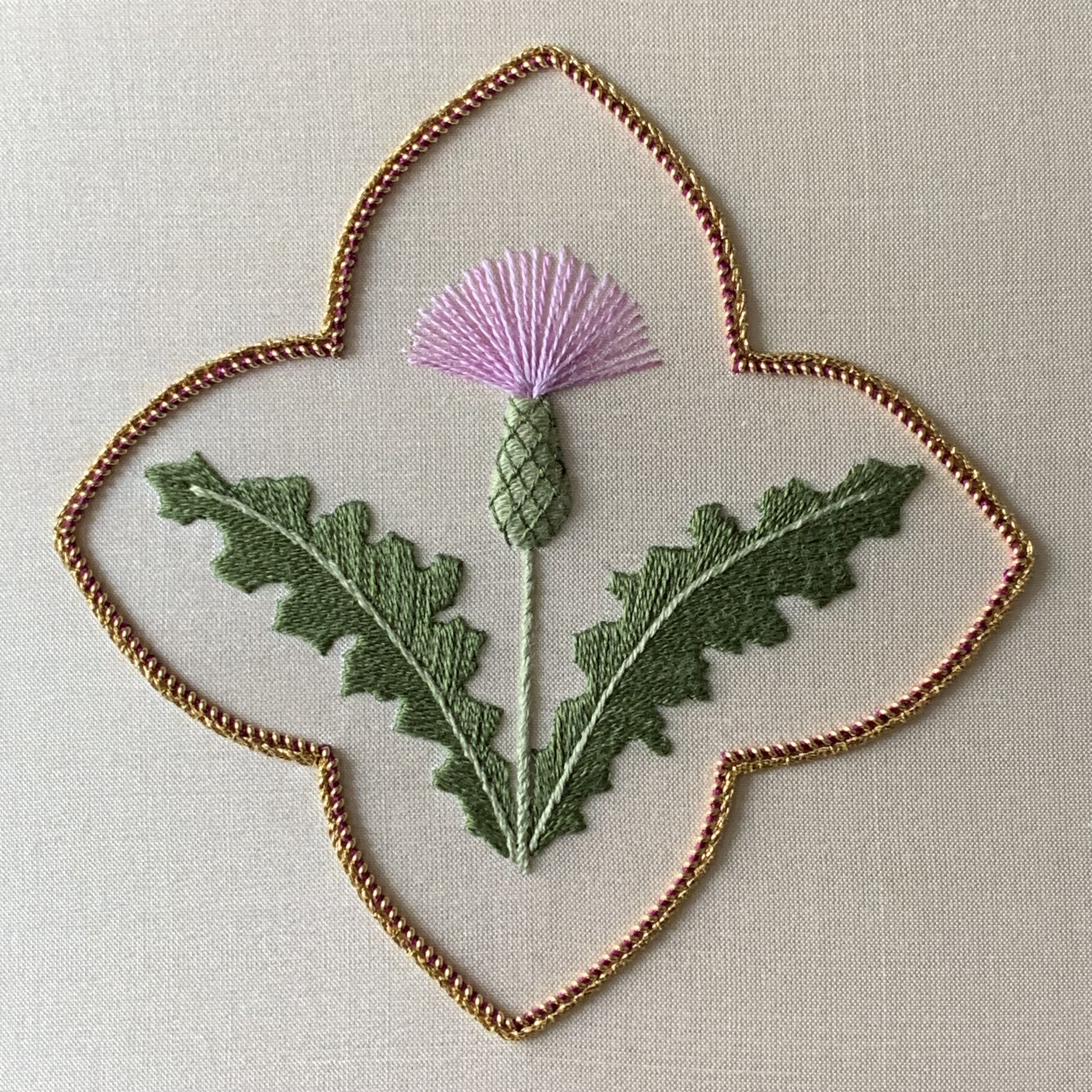 Field Thistle